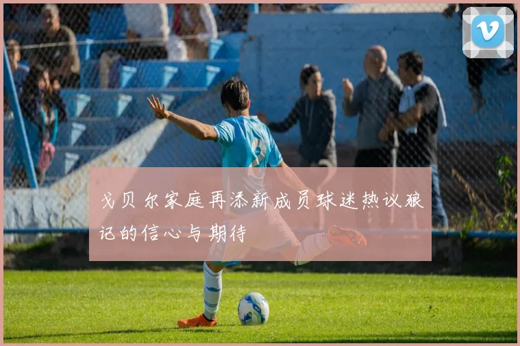 戈贝尔家庭再添新成员球迷热议狼记的信心与期待