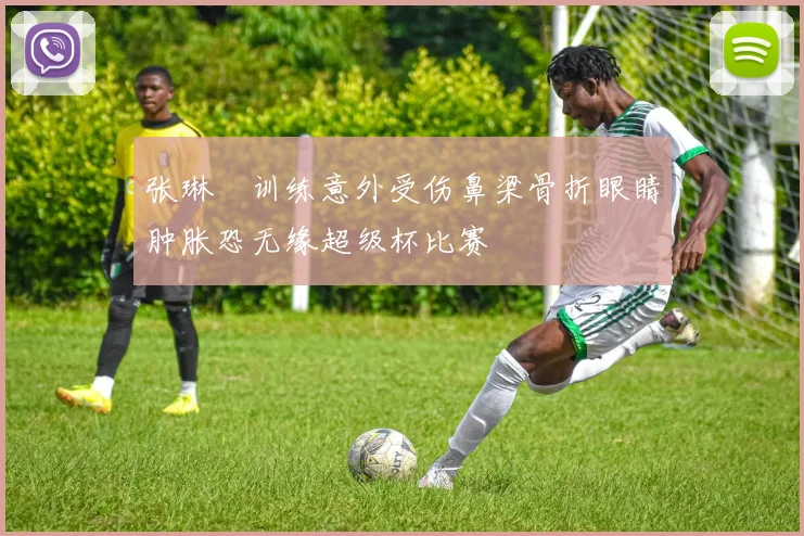 张琳芃训练意外受伤鼻梁骨折眼睛肿胀恐无缘超级杯比赛