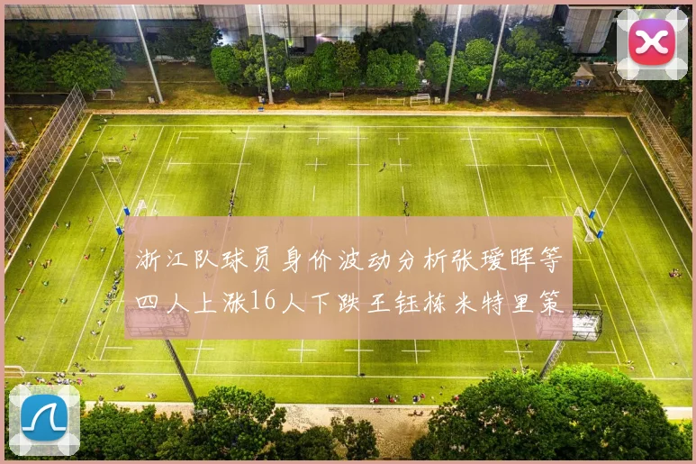 浙江队球员身价波动分析张瑷晖等四人上涨16人下跌王钰栋米特里策保持不变